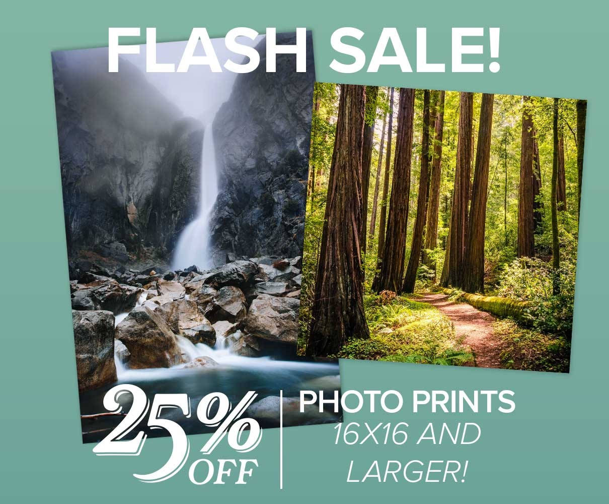 25% Off Large Size Prints